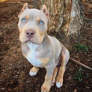 Meet your Posher, Jeff